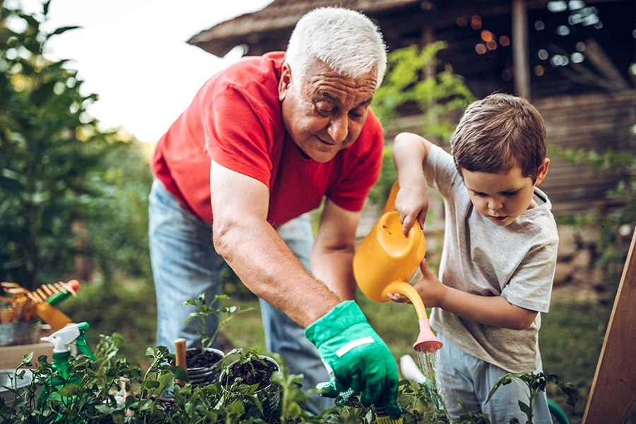 An older man and a young boy watering plants together in a garden, fostering a moment of learning and connection.